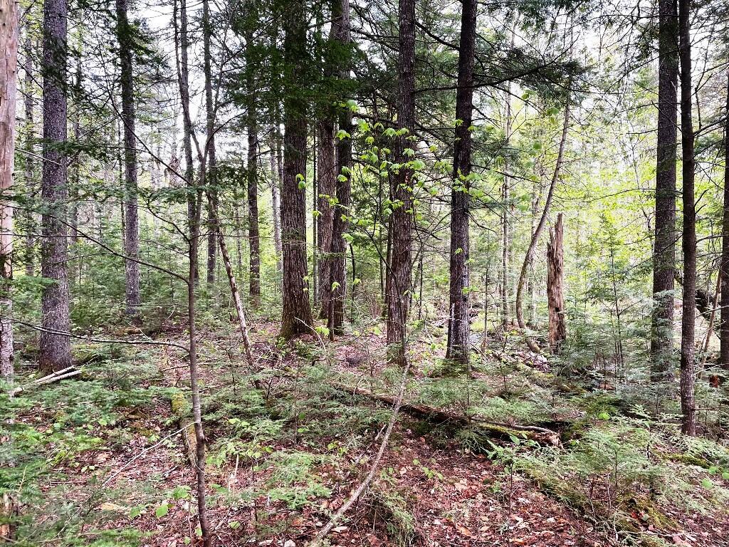 Lot #7 Hammond Brook Road Monson ME 04464