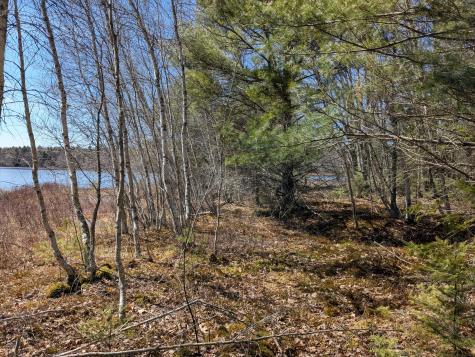 Lot 4-1 Peninsula Drive Ellsworth ME 04605