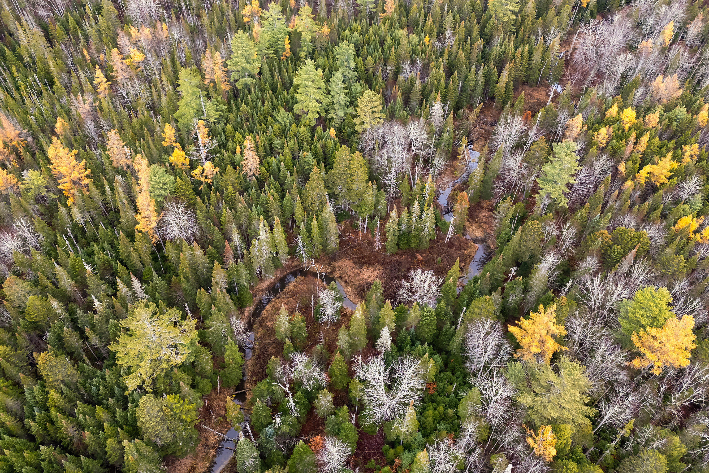 R05-58A W Alna Road Wiscasset ME 04578