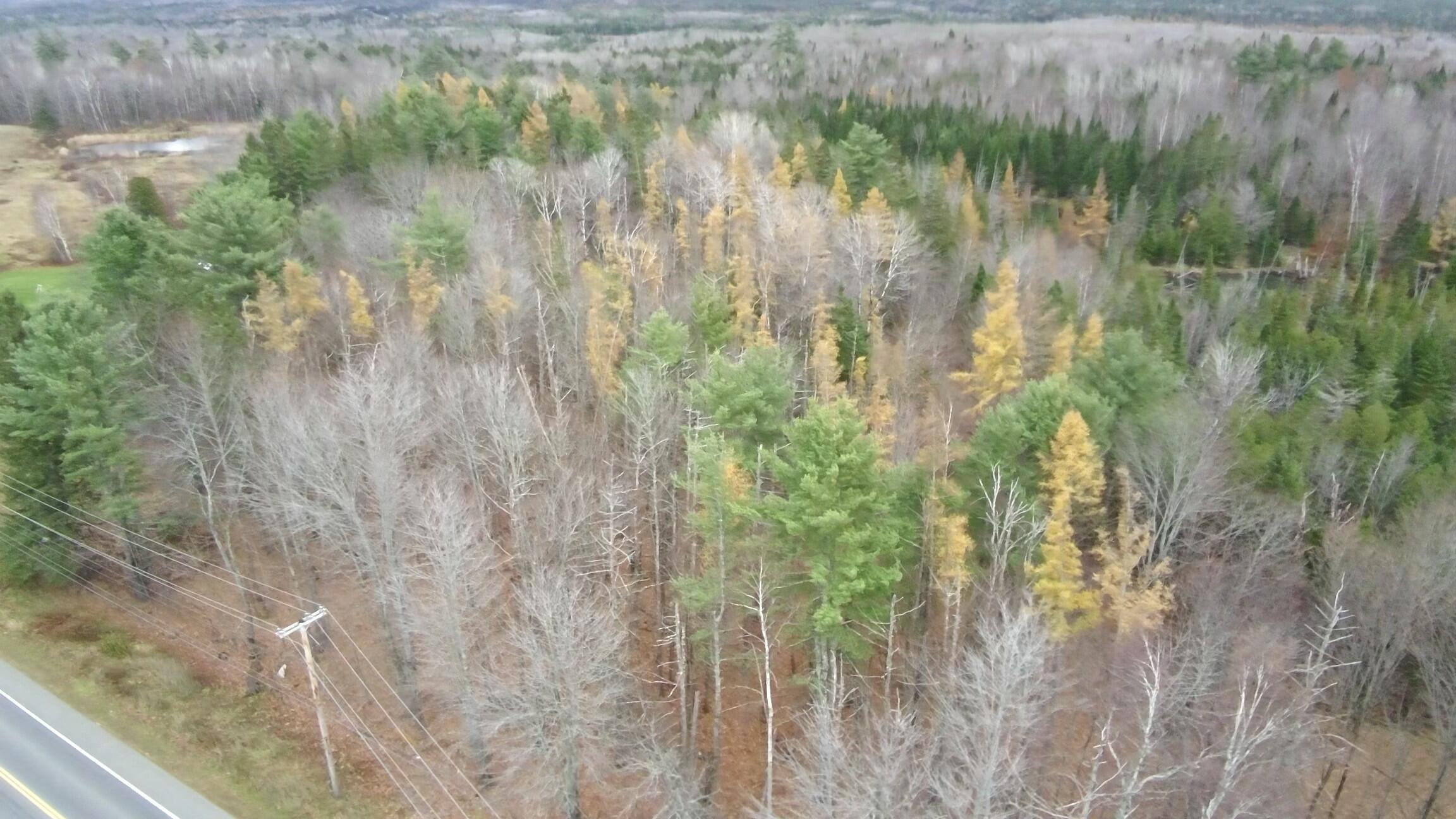 320 Milo Road Sebec ME 04481