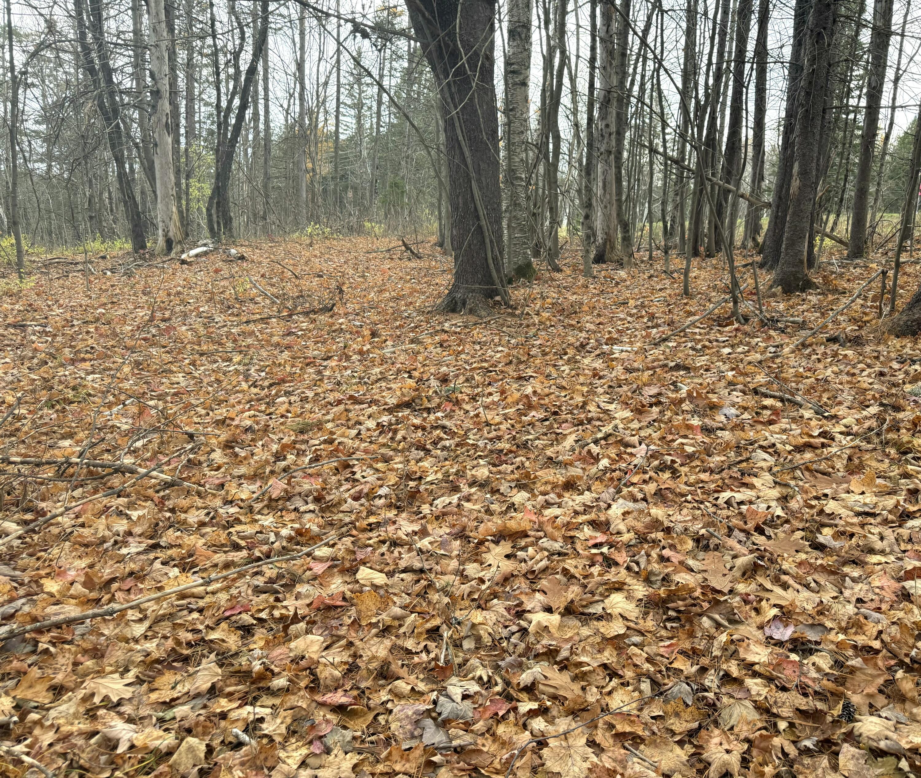 320 Milo Road Sebec ME 04481