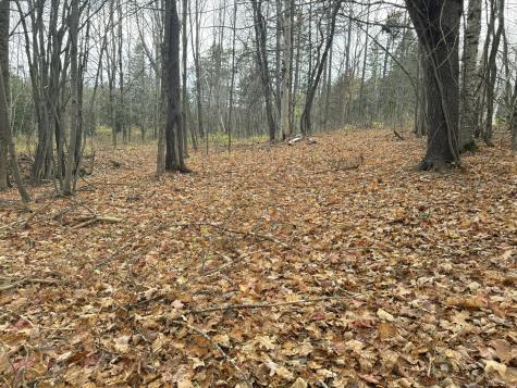 320 Milo Road Sebec ME 04481