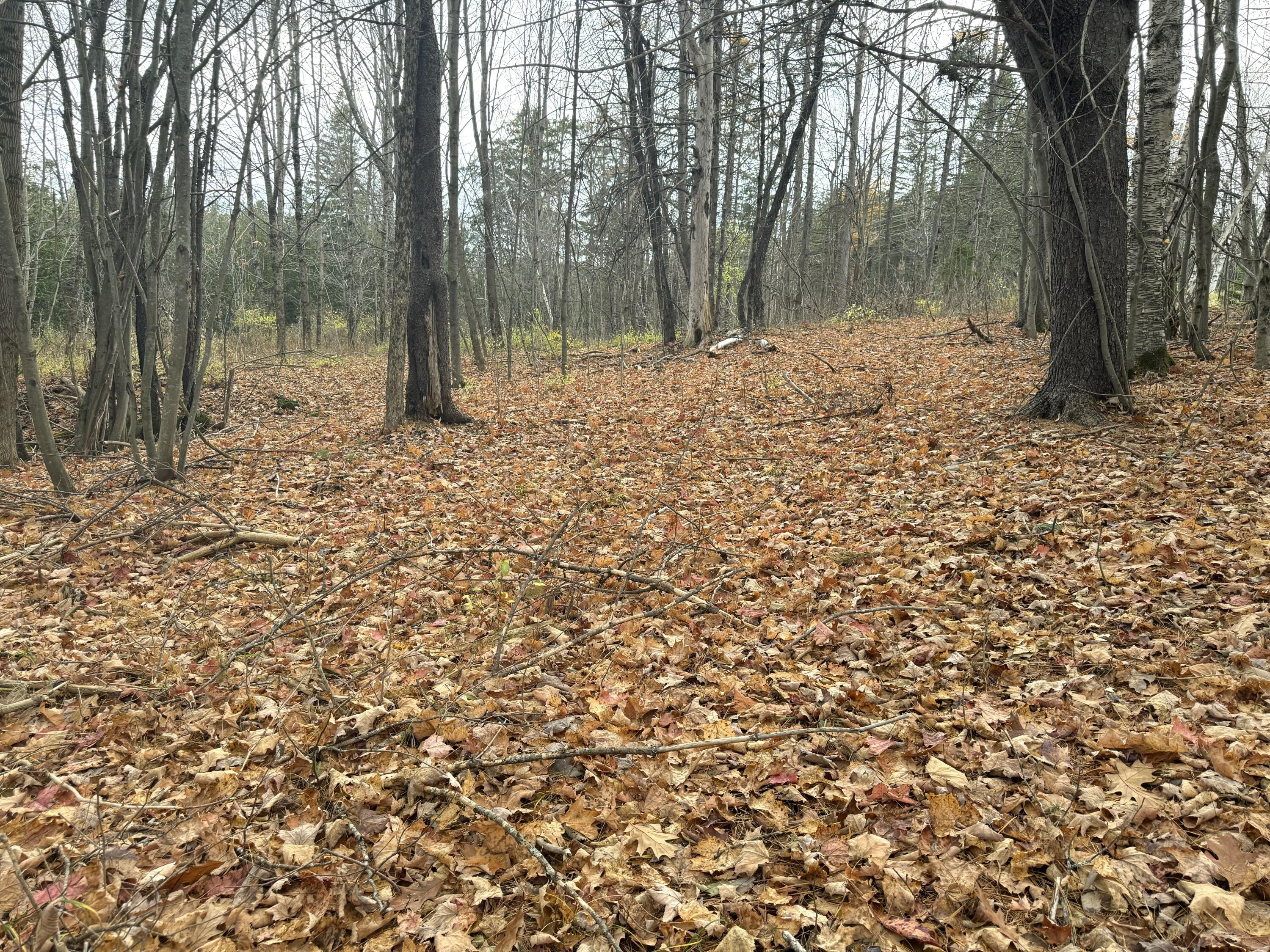 320 Milo Road Sebec ME 04481