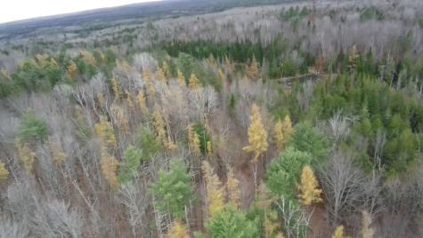 320 Milo Road Sebec ME 04481