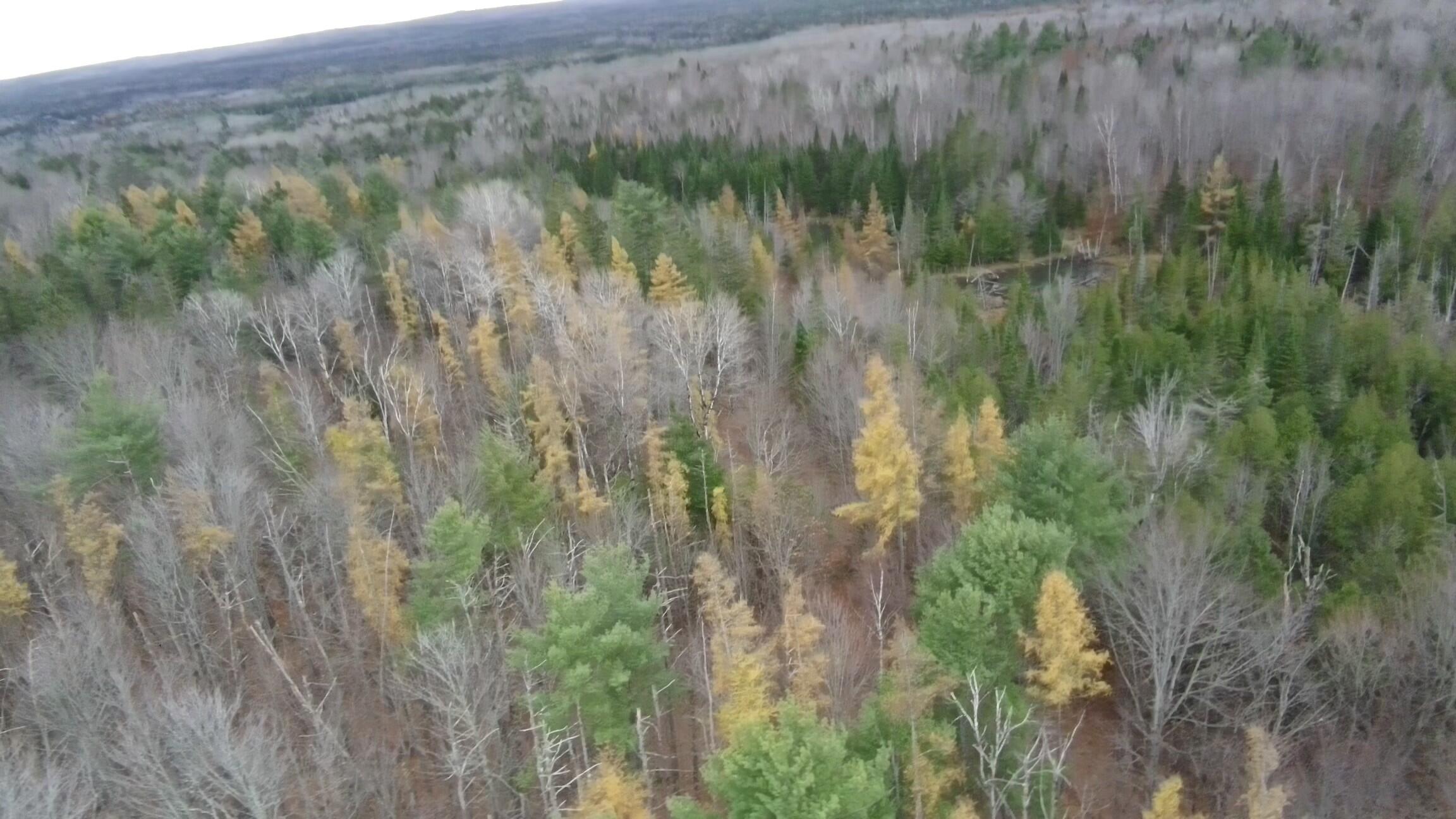 320 Milo Road Sebec ME 04481