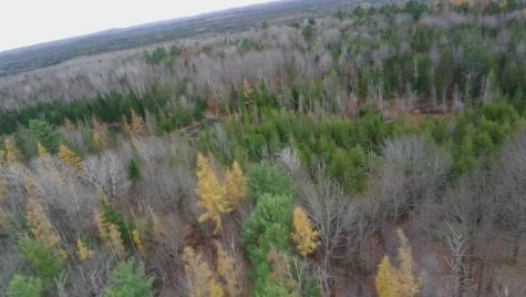 320 Milo Road Sebec ME 04481