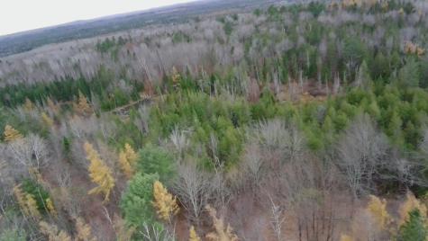 320 Milo Road Sebec ME 04481