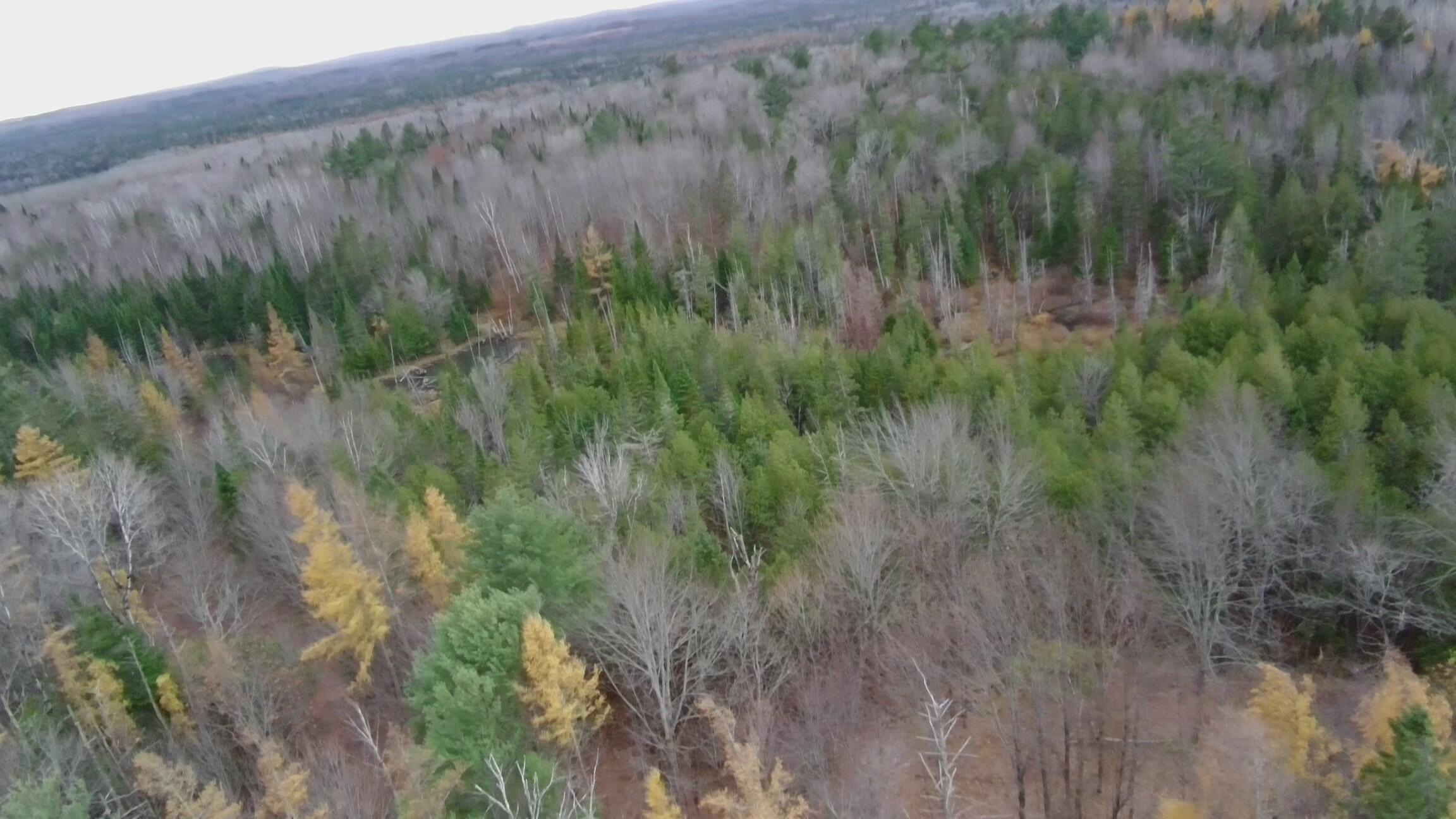 320 Milo Road Sebec ME 04481