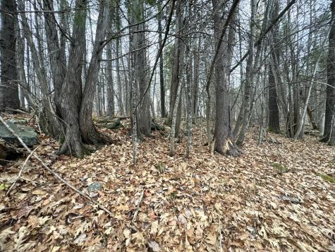 320 Milo Road Sebec ME 04481