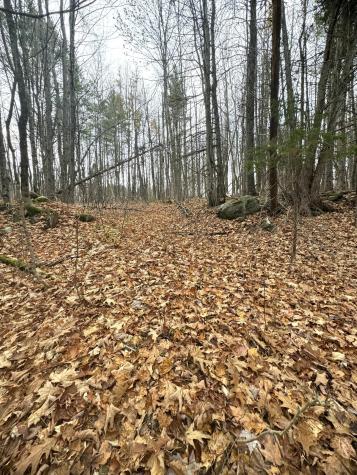 320 Milo Road Sebec ME 04481