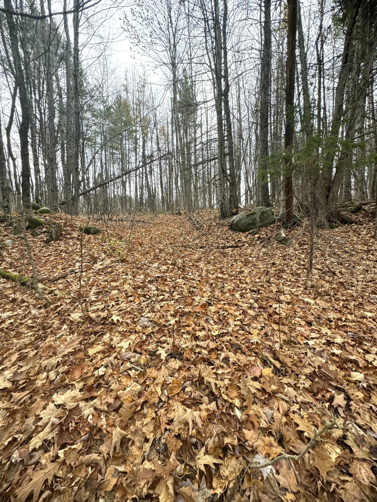 320 Milo Road Sebec ME 04481