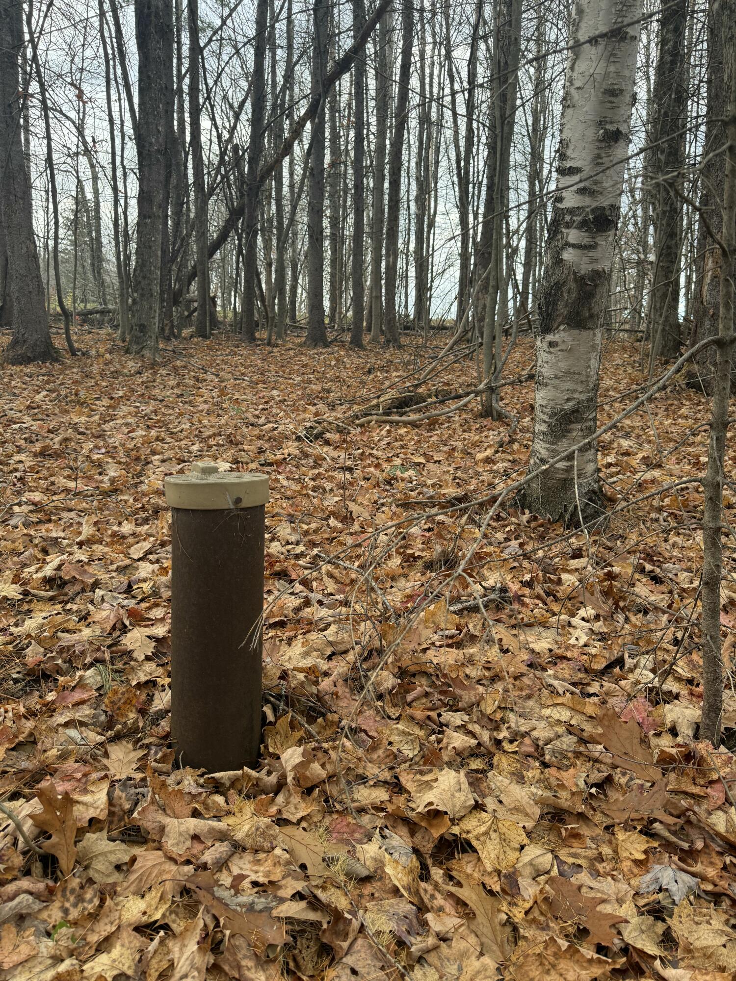 320 Milo Road Sebec ME 04481