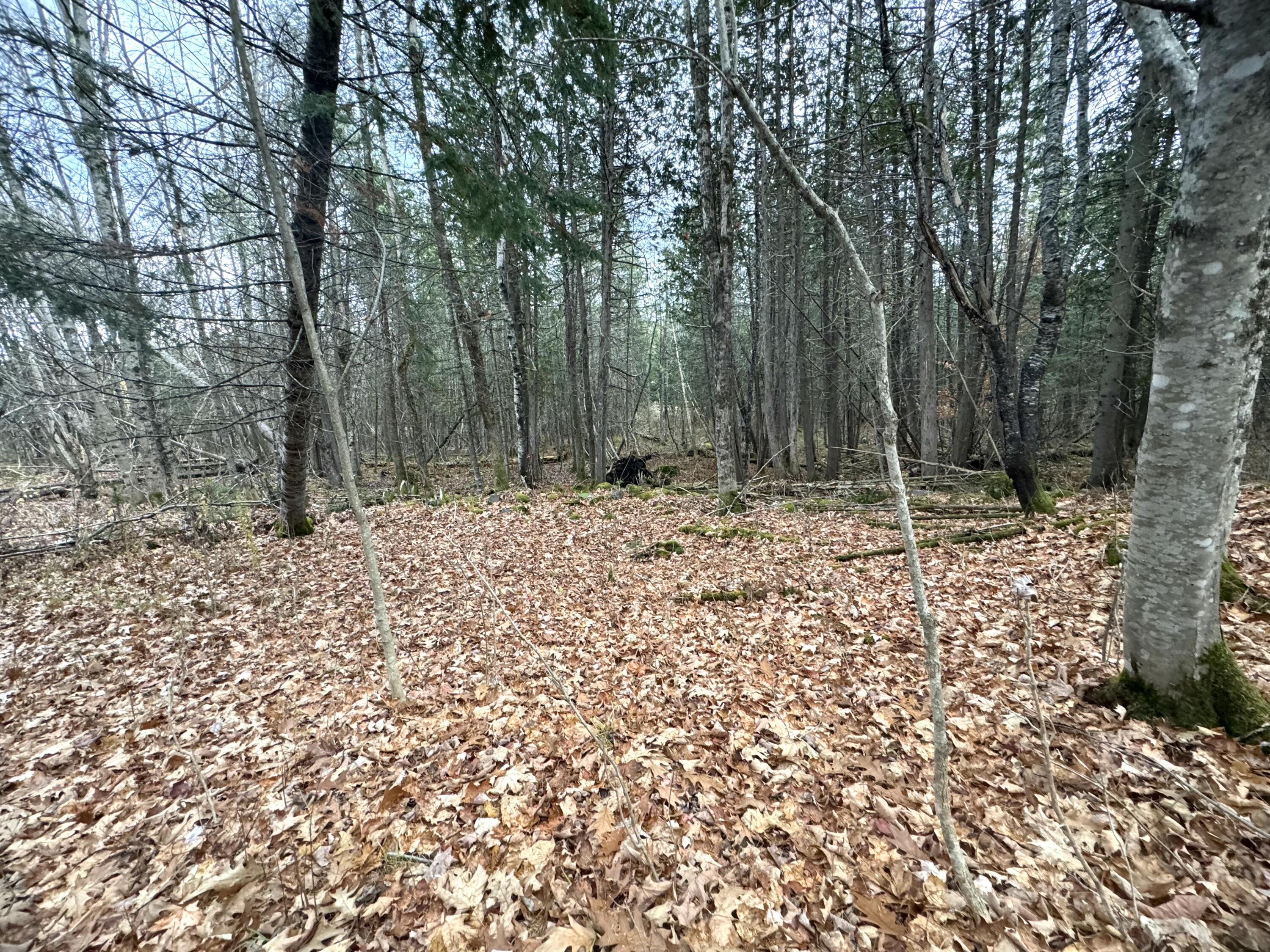 320 Milo Road Sebec ME 04481