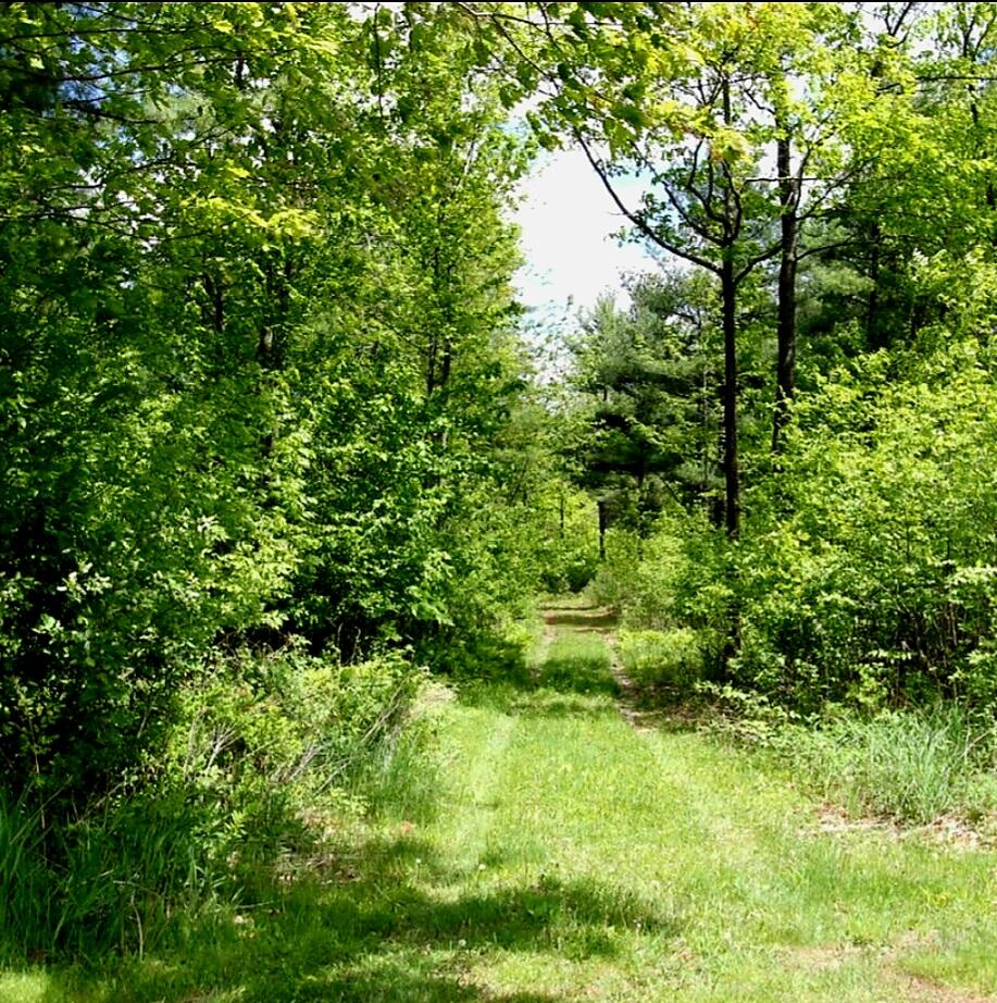 2 Melissa Drive Lewiston ME 04240