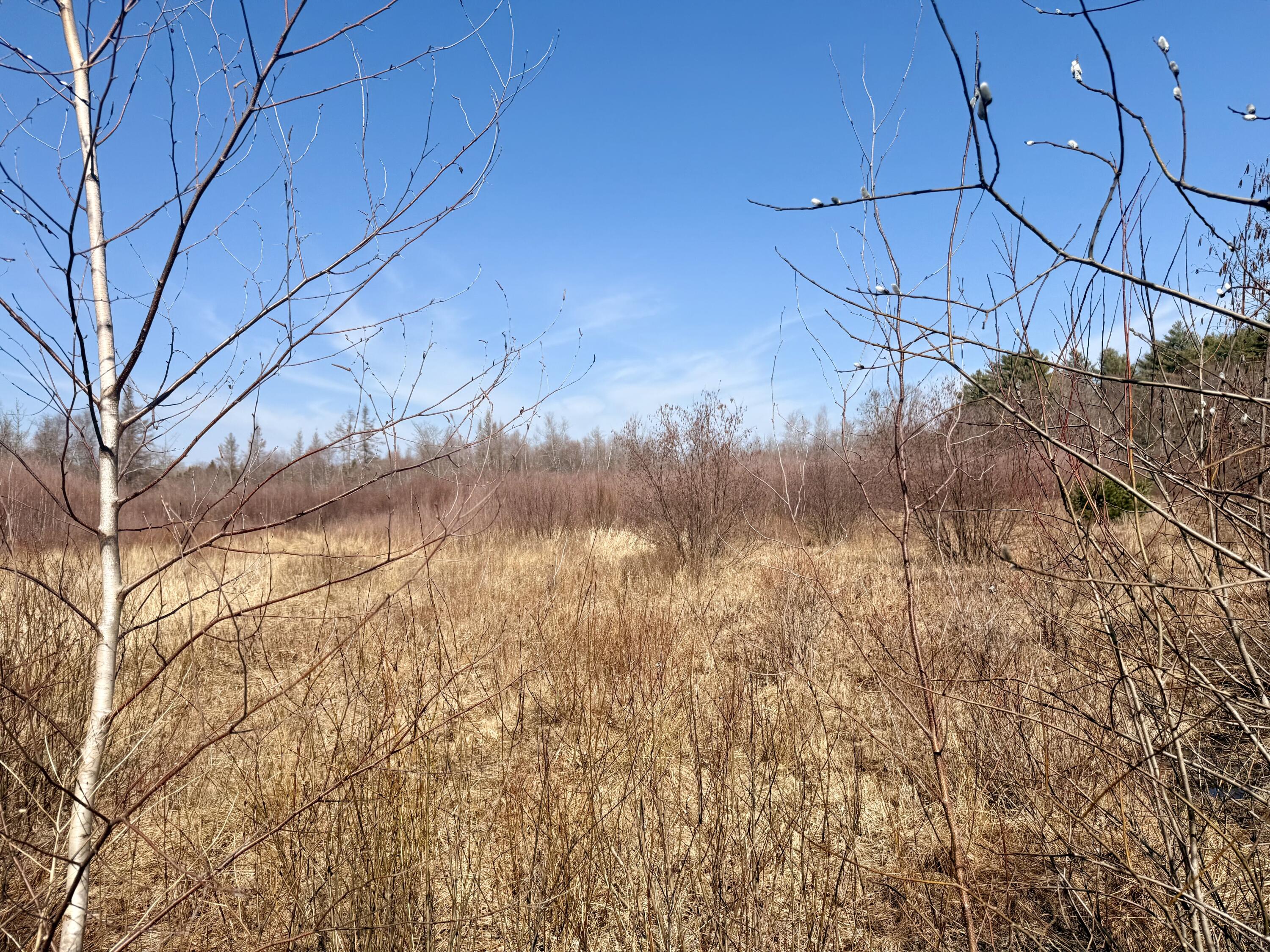 Lot 56 Bailey Road Knox ME 04986