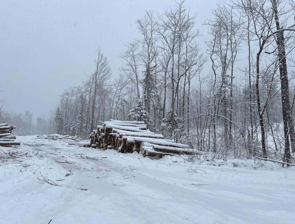 M13 L12 Pease Hill Road Anson ME 04911