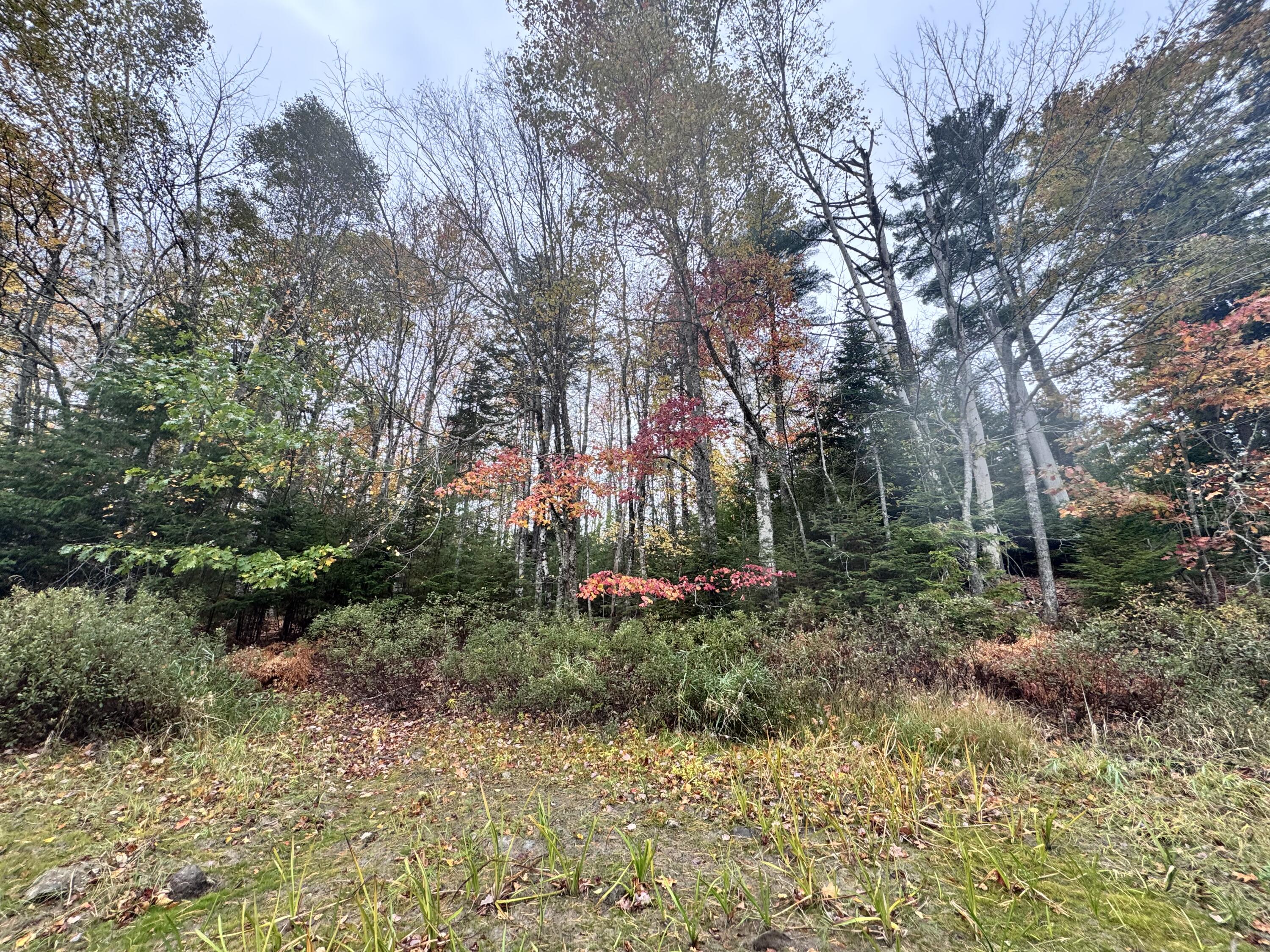 0 Graham Way Ellsworth ME 04605