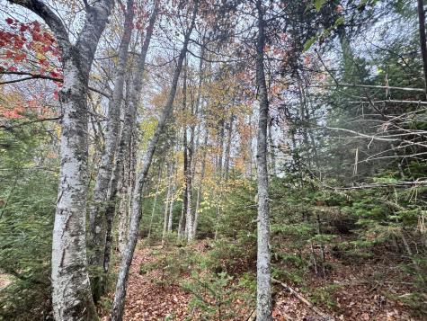 0 Graham Way Ellsworth ME 04605