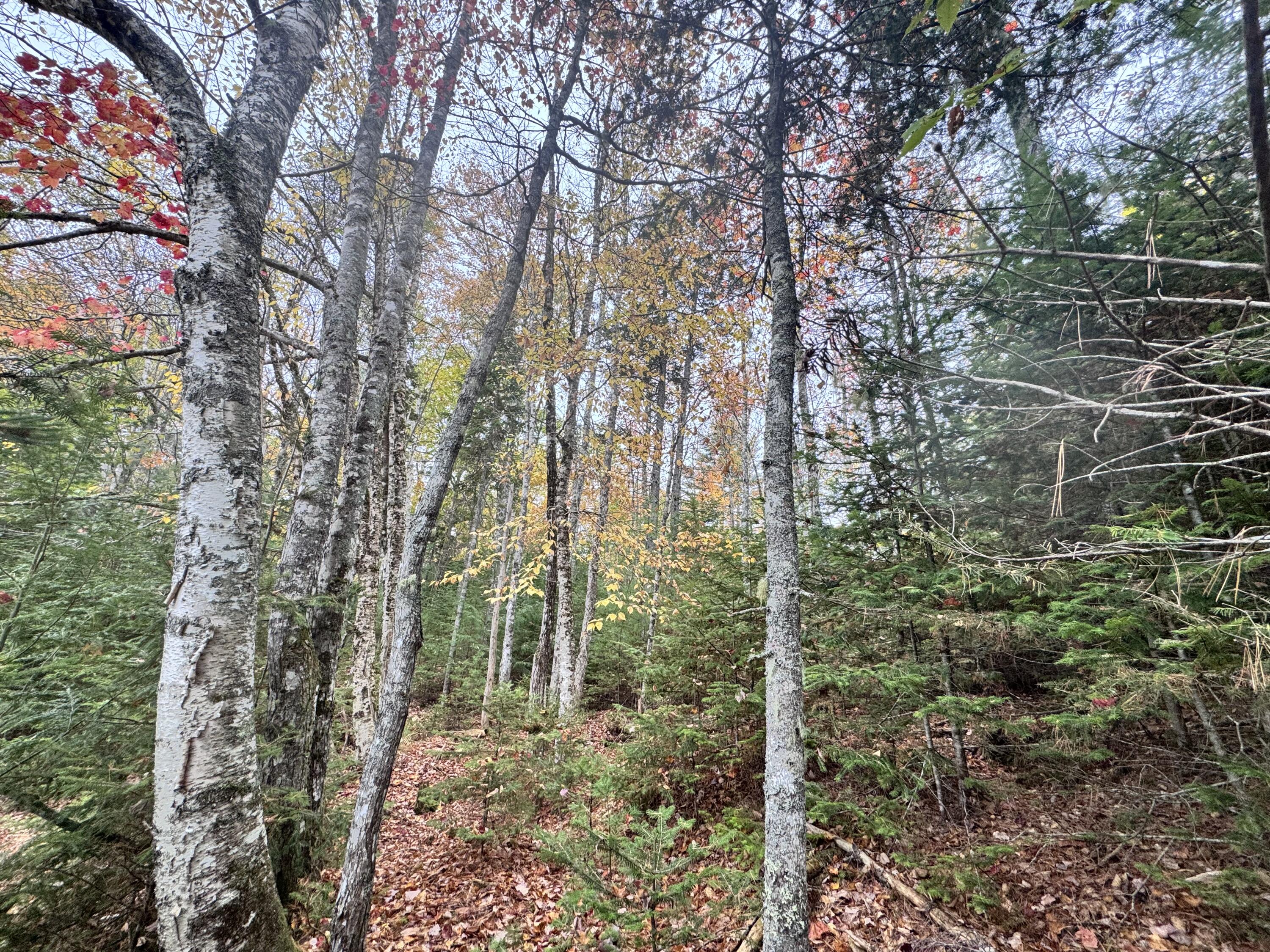 0 Graham Way Ellsworth ME 04605