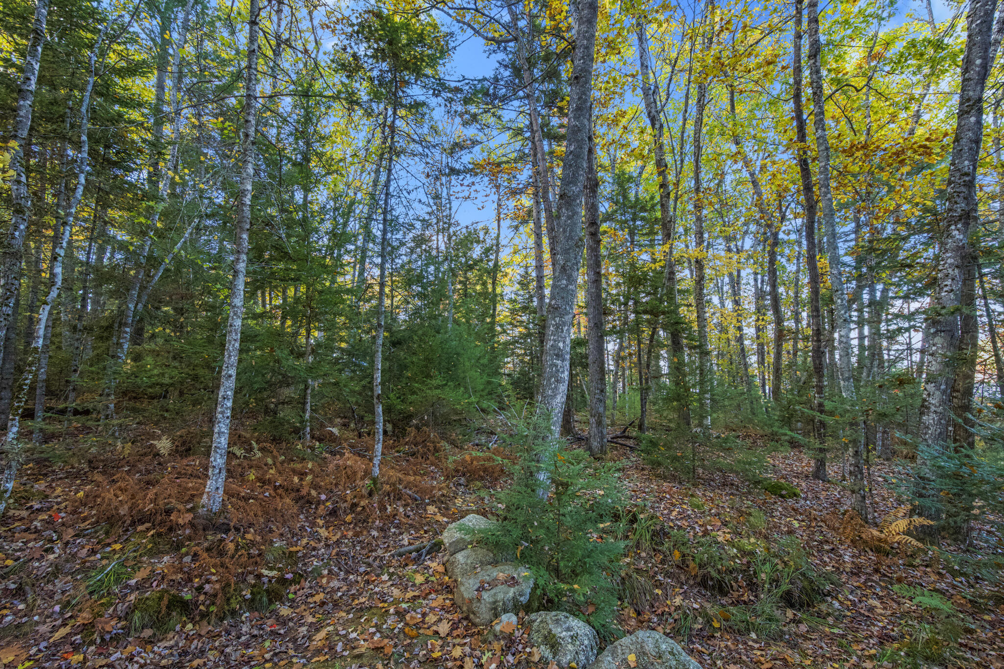 0 Graham Way Ellsworth ME 04605