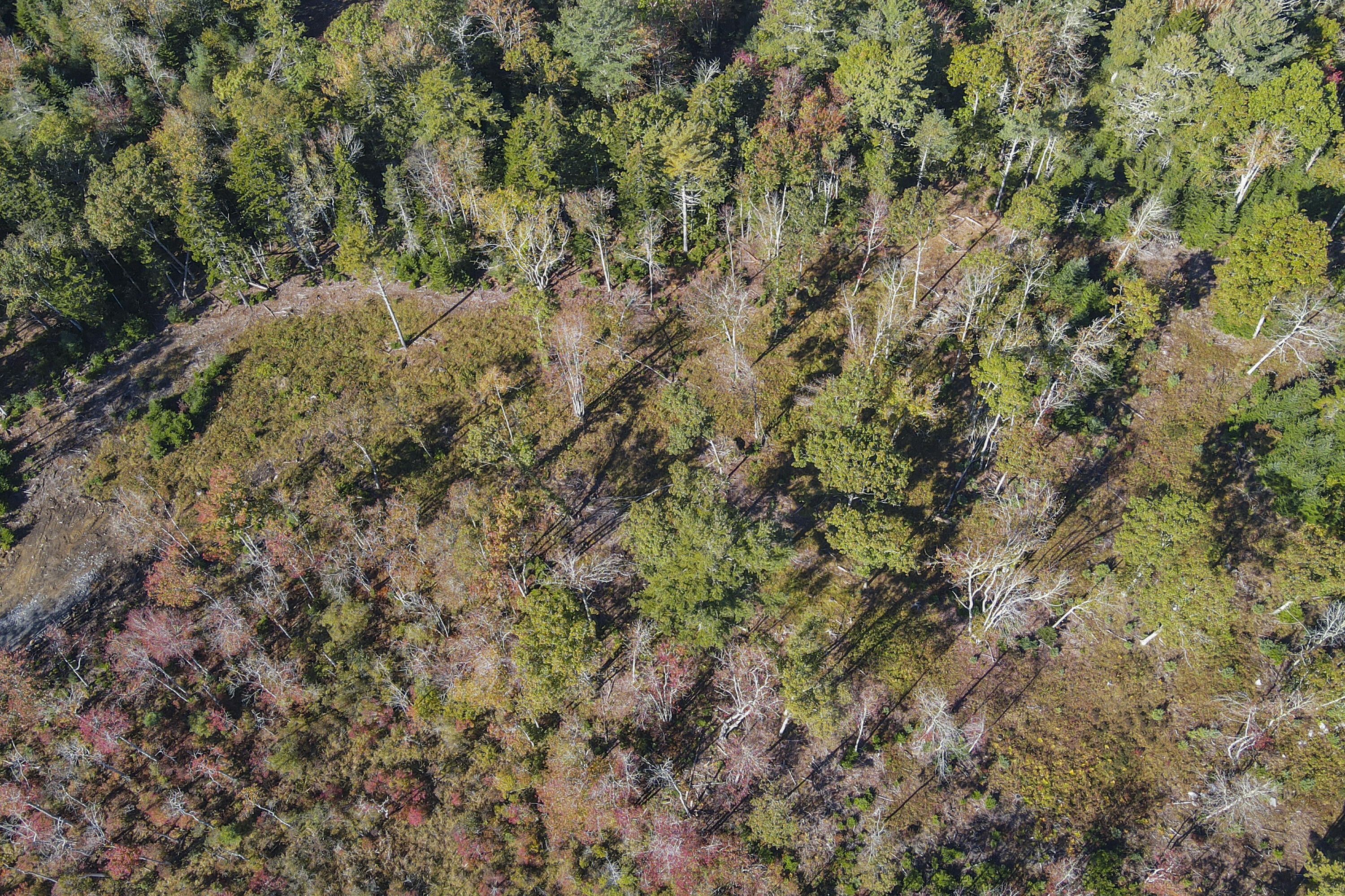 Lot 4 Jack's Lane Bristol ME 04554
