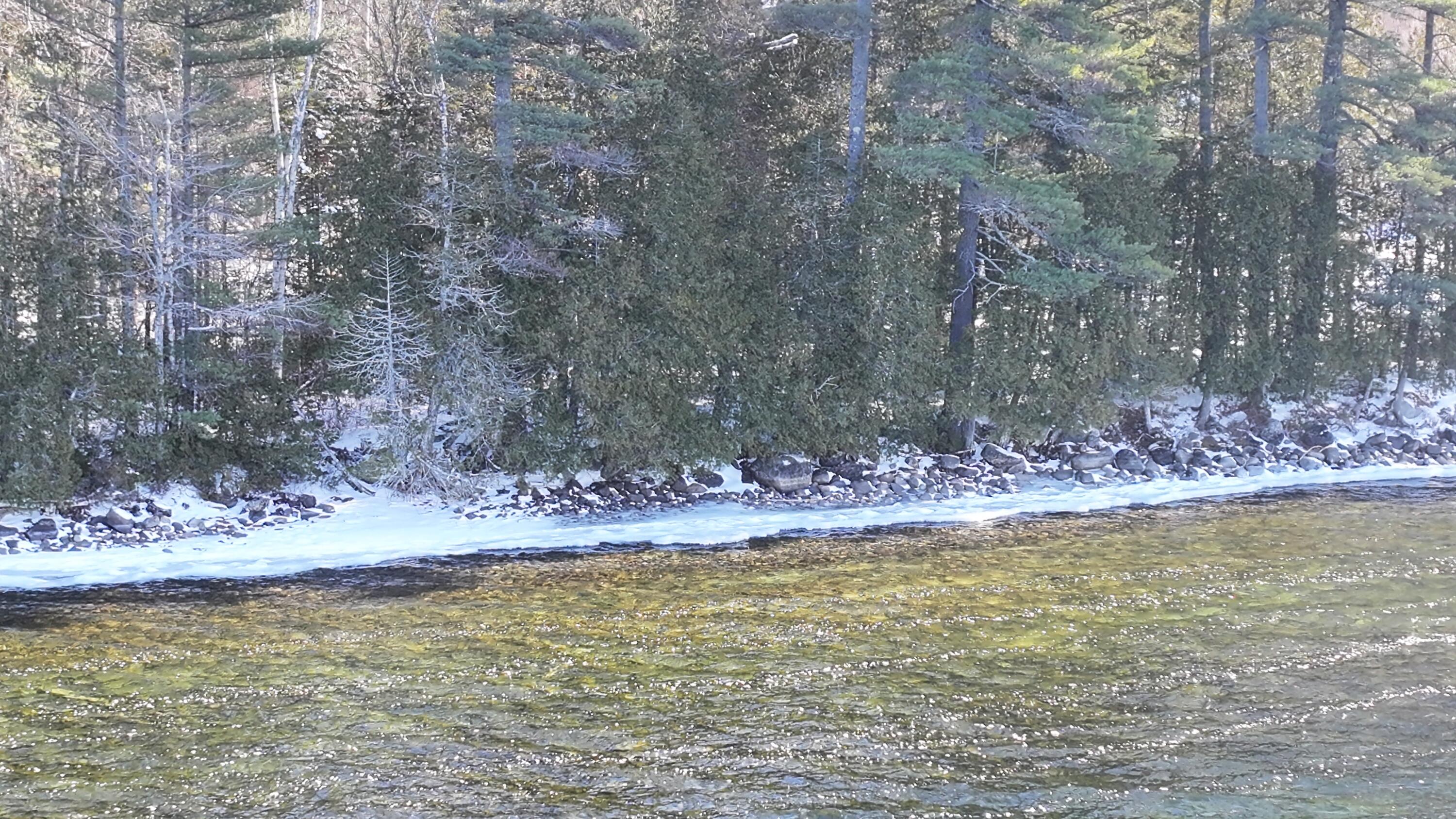 610 Railroad Bed Road Lake View Plt ME 04463