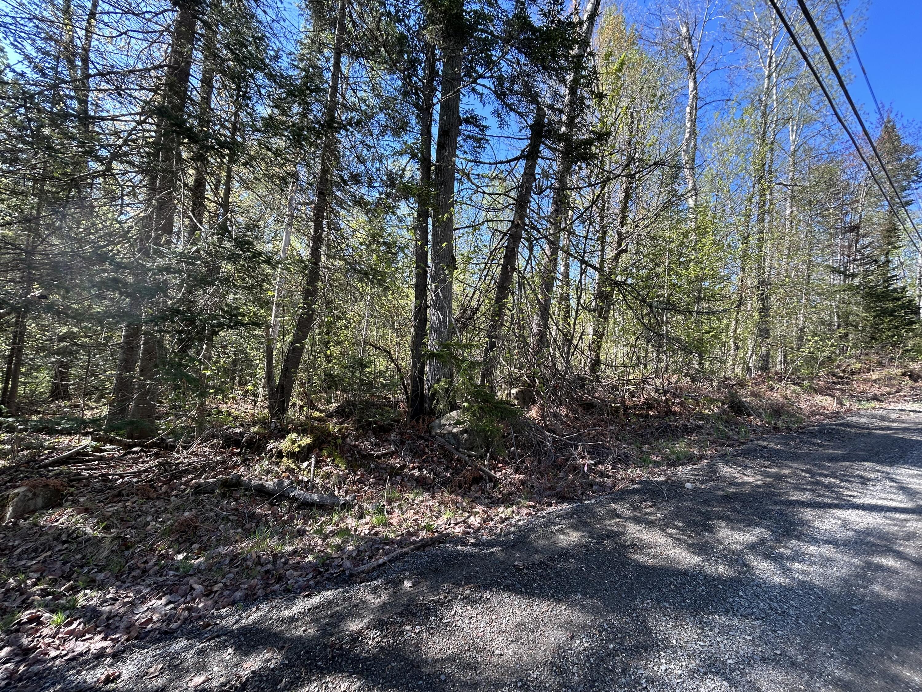 M8/L17A Bald Mt Road Rangeley Plt ME 04964