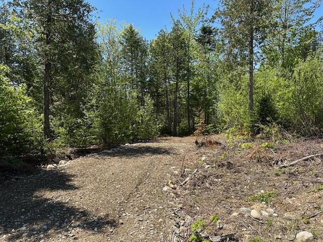 Lot 13 Mt. Jefferson Heights Lee ME 04455