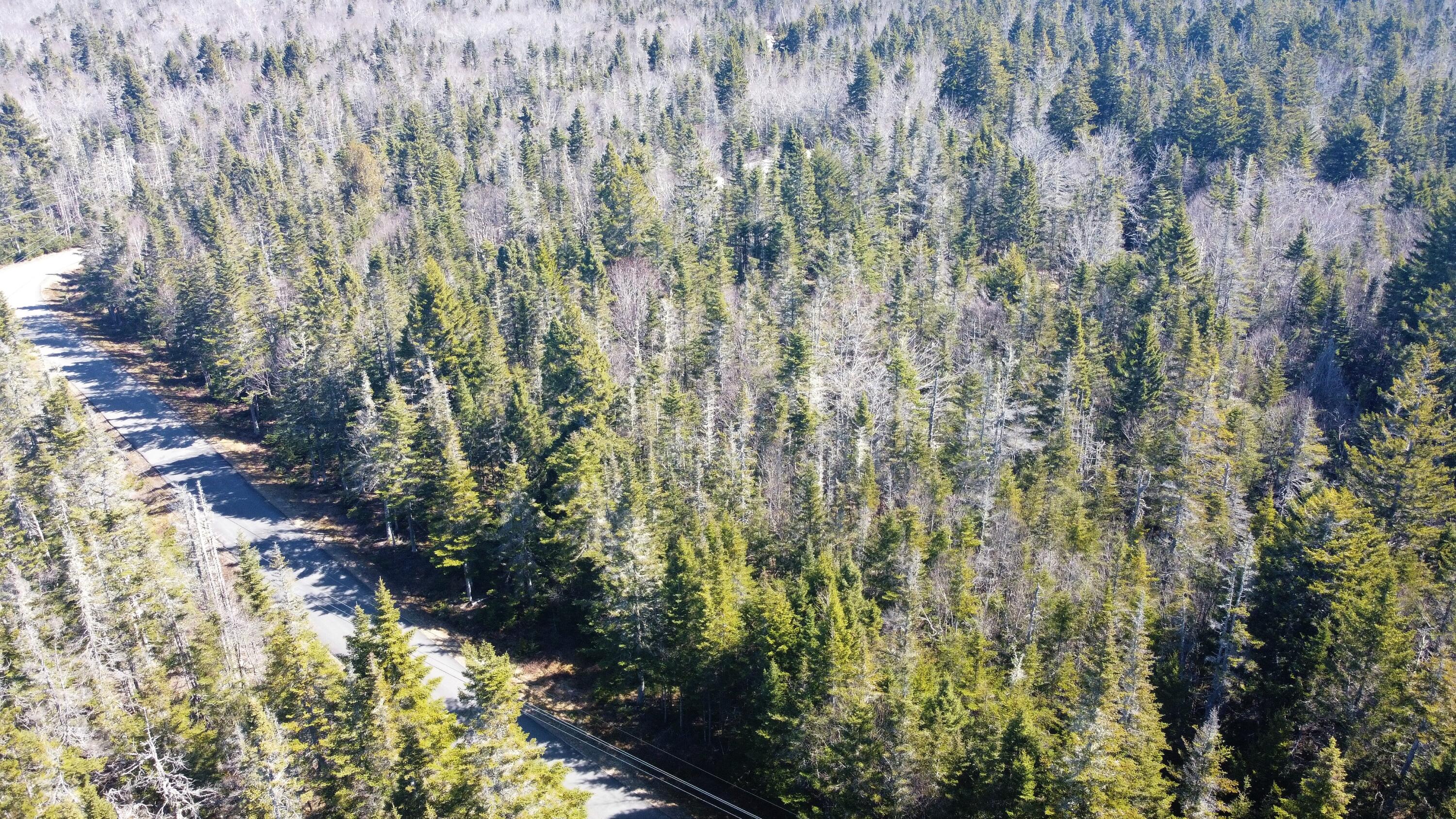 60 Yoho Head Road Machiasport Maine Real Estate Listing MLS 1486726