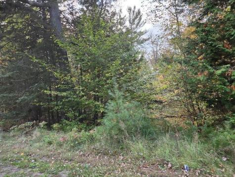 277 E Newport Road Stetson ME 04488