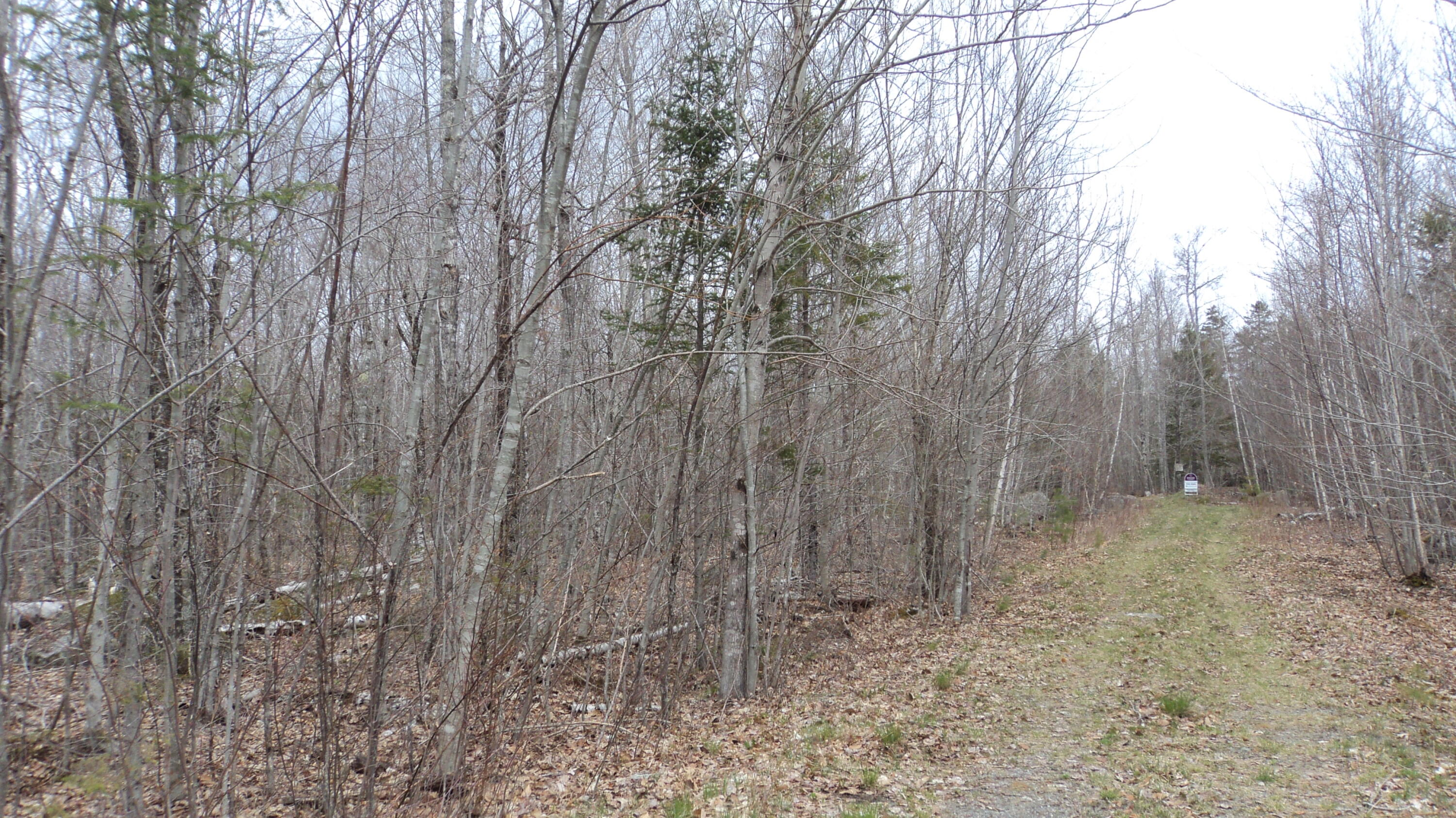 00 Green Lake Road Dedham ME 04429