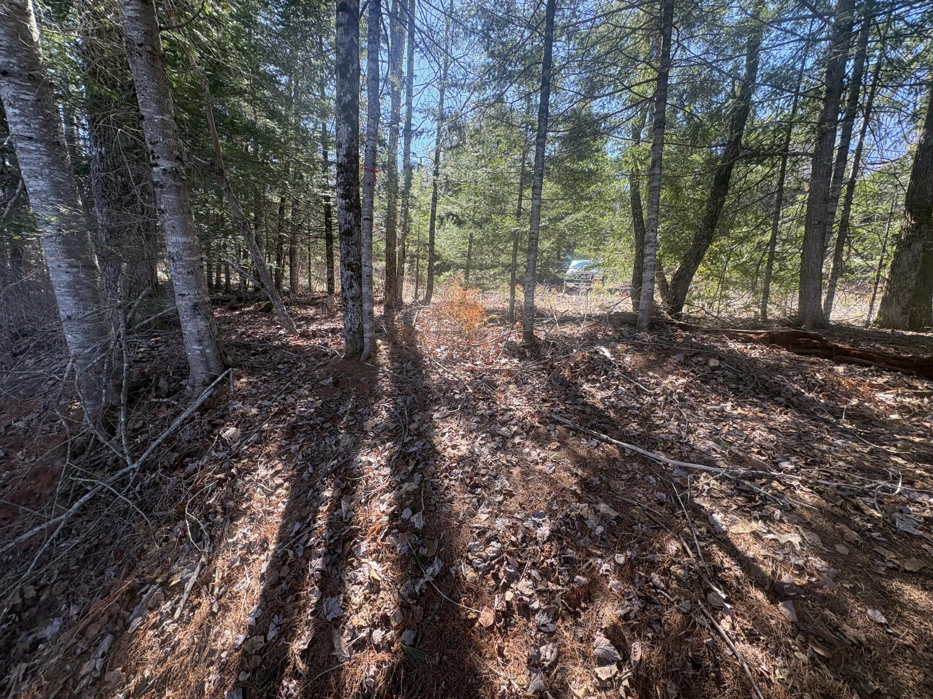 Lot 4 W Indian Road Woodville ME 04457