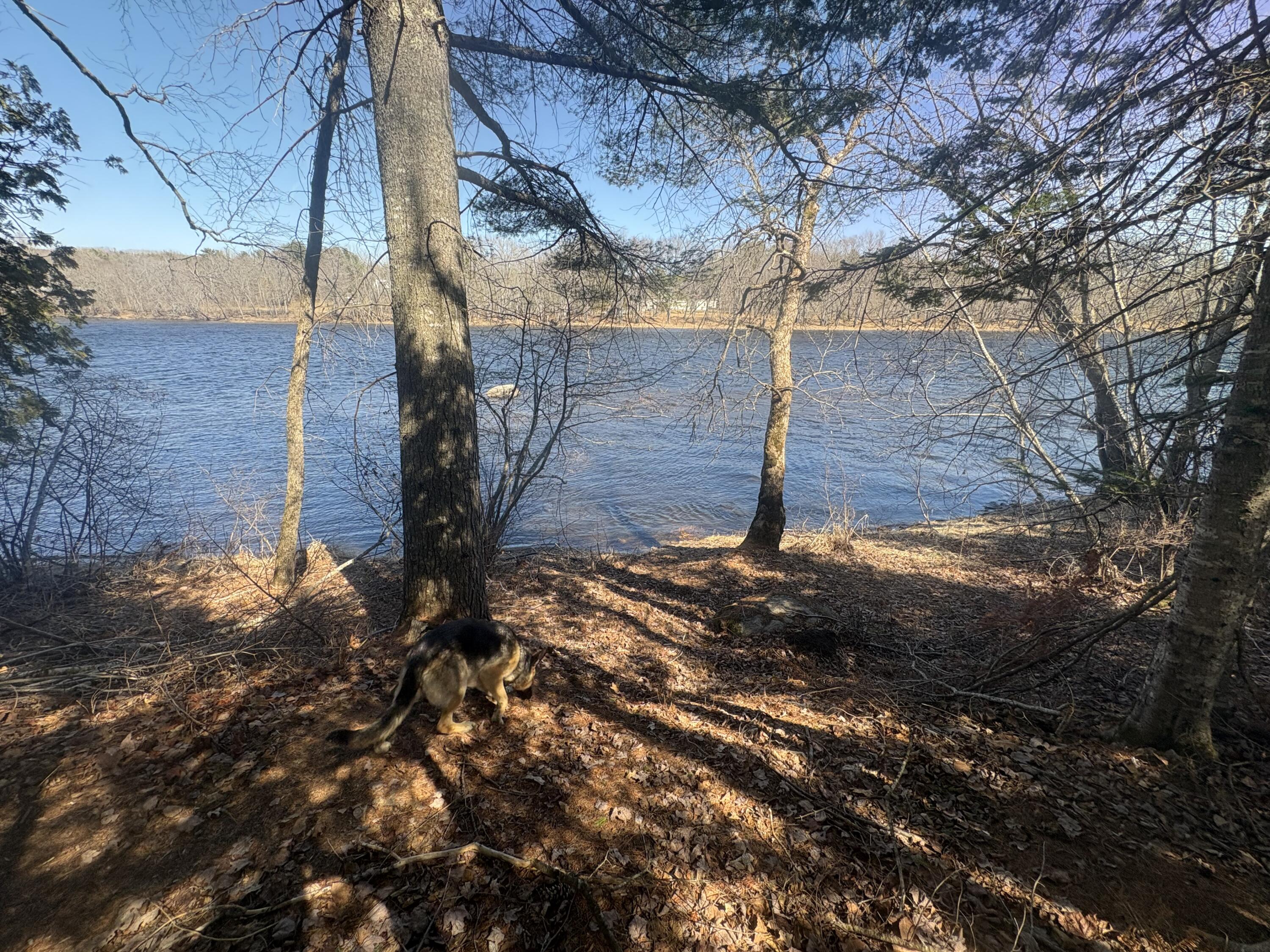 Lot 4 W Indian Road Woodville ME 04457