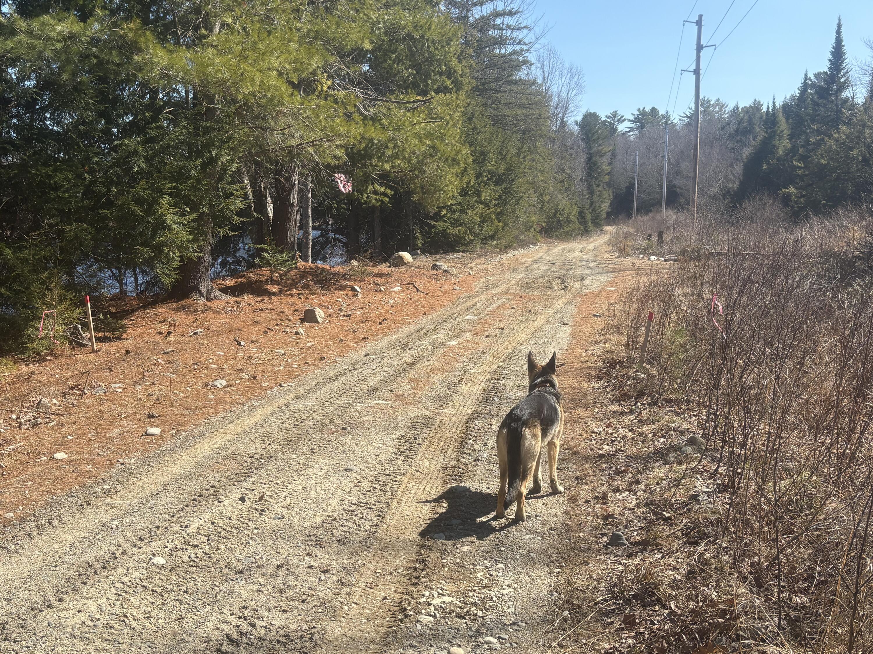Lot 4 W Indian Road Woodville ME 04457