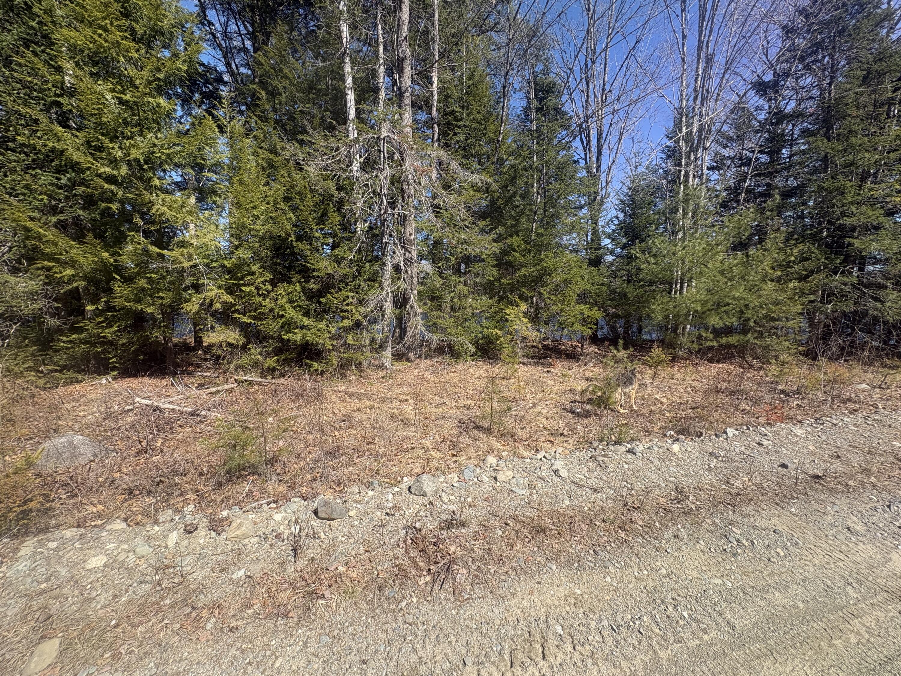 Lot 4 W Indian Road Woodville ME 04457