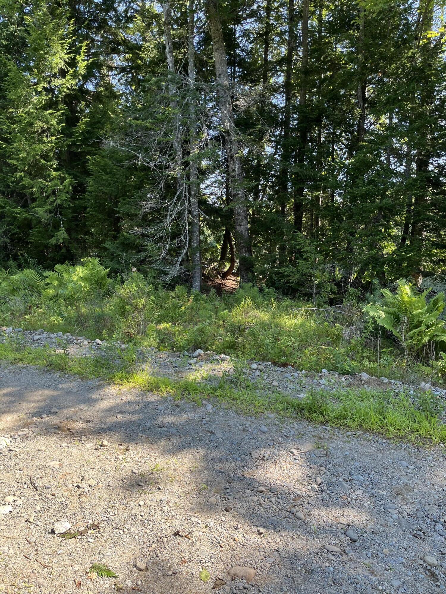 Lot 4 W Indian Road Woodville ME 04457