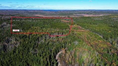 Lot 1 - 6 Holmes Bay Farm Whiting ME 04691