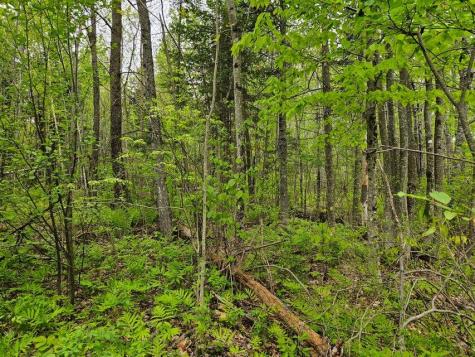 681 Mile Hill Road New Sharon ME 04955