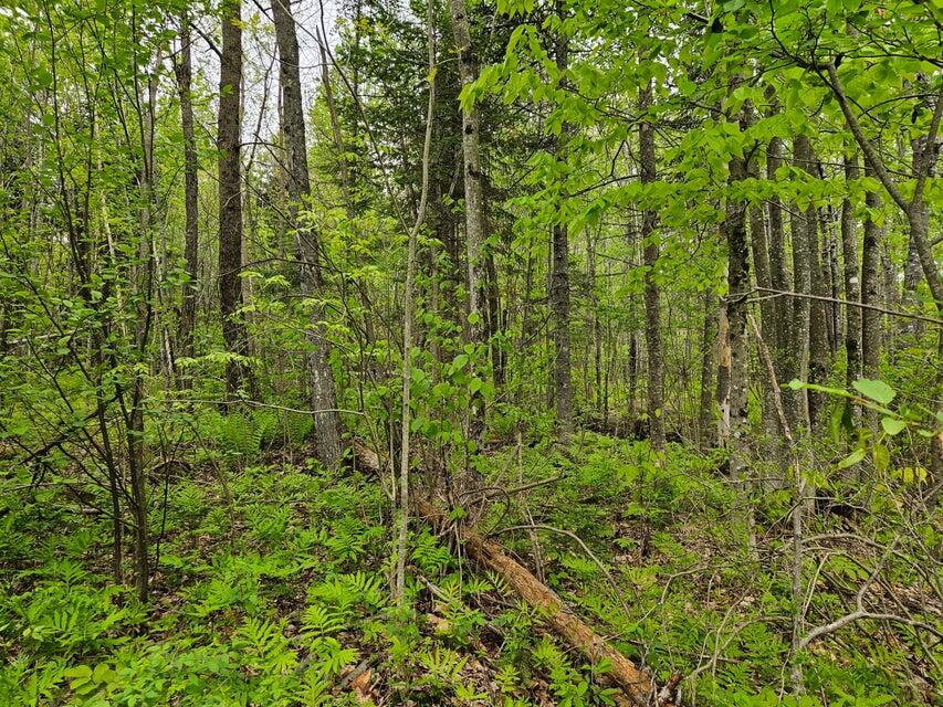681 Mile Hill Road New Sharon ME 04955