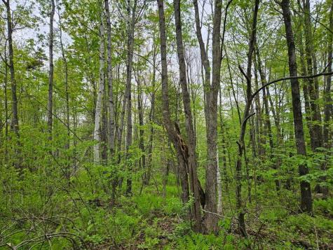 681 Mile Hill Road New Sharon ME 04955