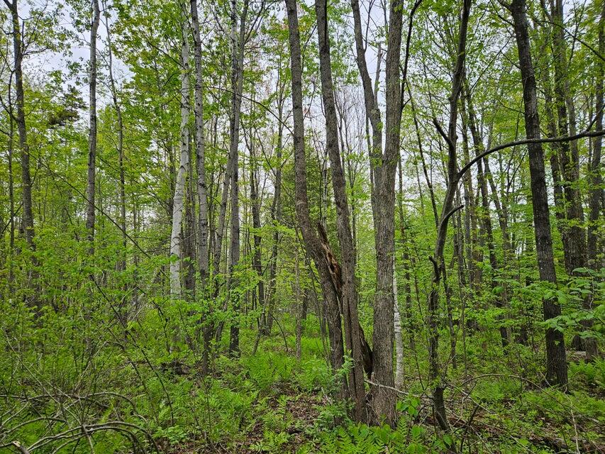 681 Mile Hill Road New Sharon ME 04955
