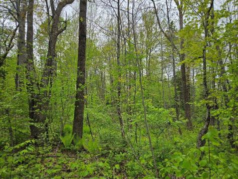 681 Mile Hill Road New Sharon ME 04955