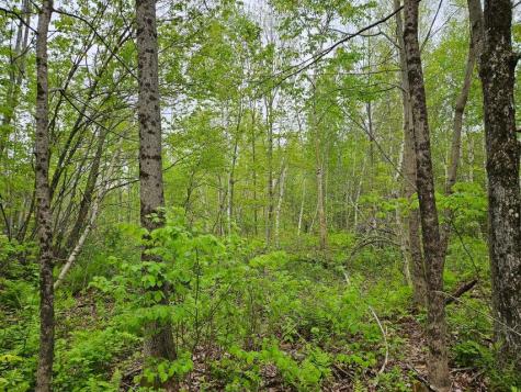 681 Mile Hill Road New Sharon ME 04955