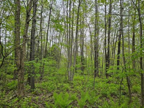 681 Mile Hill Road New Sharon ME 04955