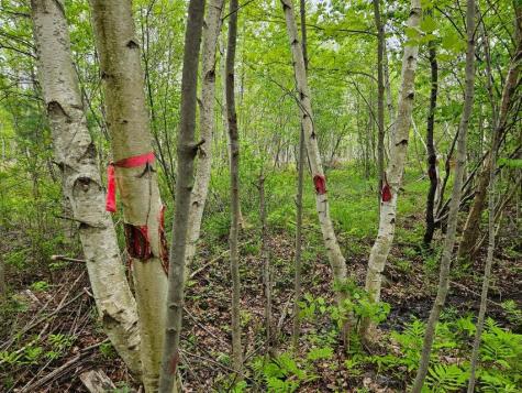 681 Mile Hill Road New Sharon ME 04955