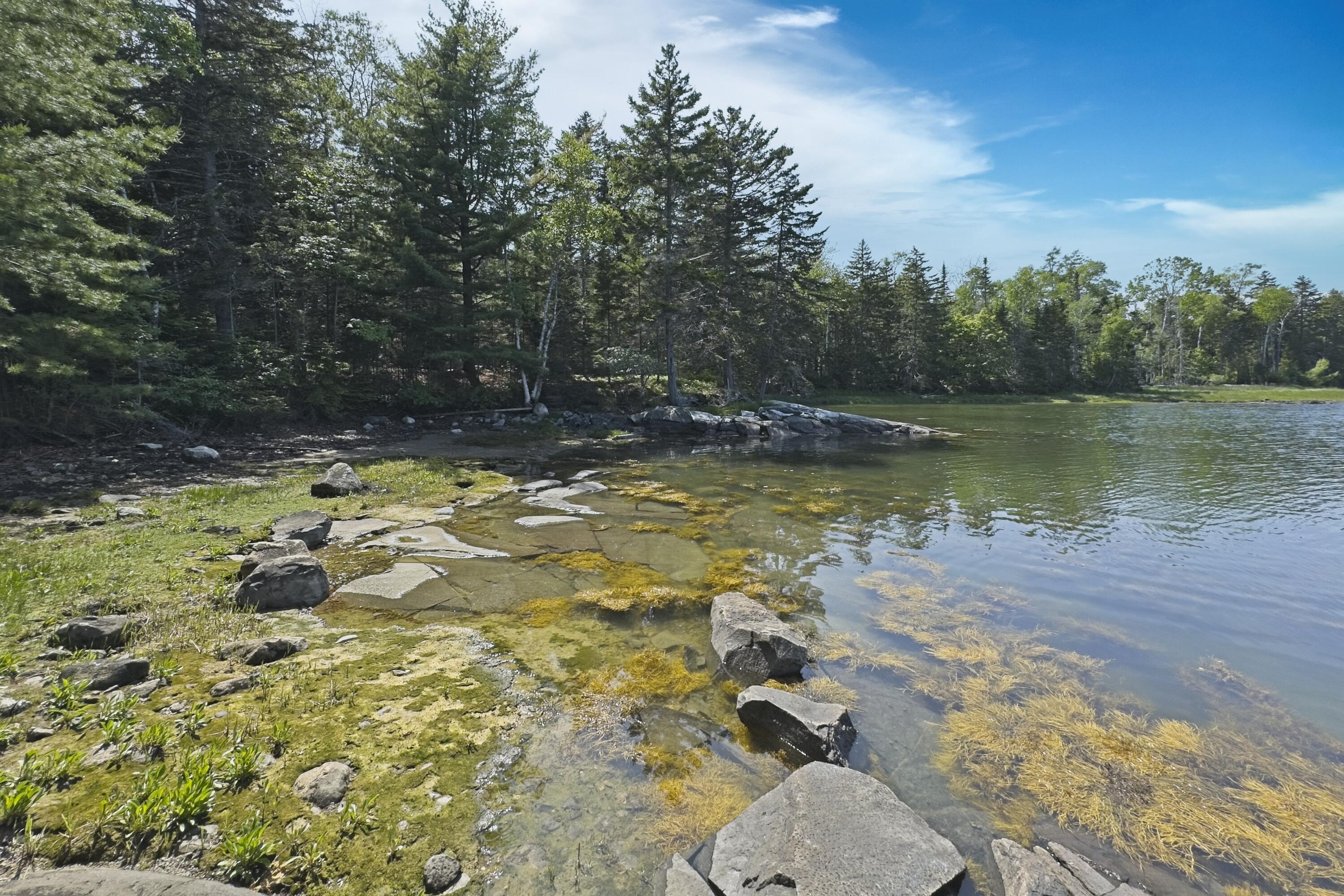 L73M217 N. Kallio Cove Road Saint George ME 04860
