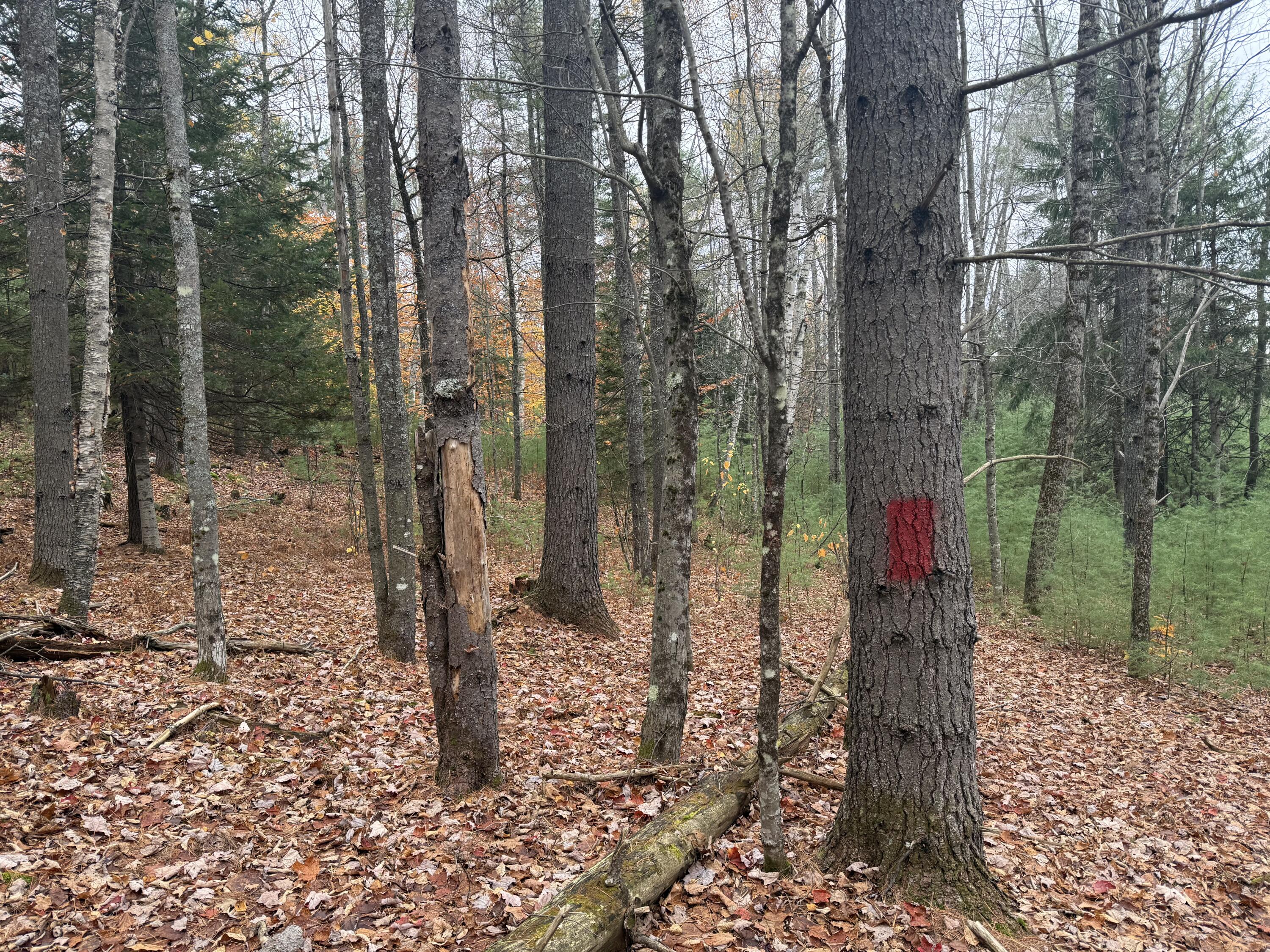 L55 Storer Hill Road Carthage ME 04224