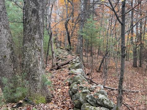 L55 Storer Hill Road Carthage ME 04224