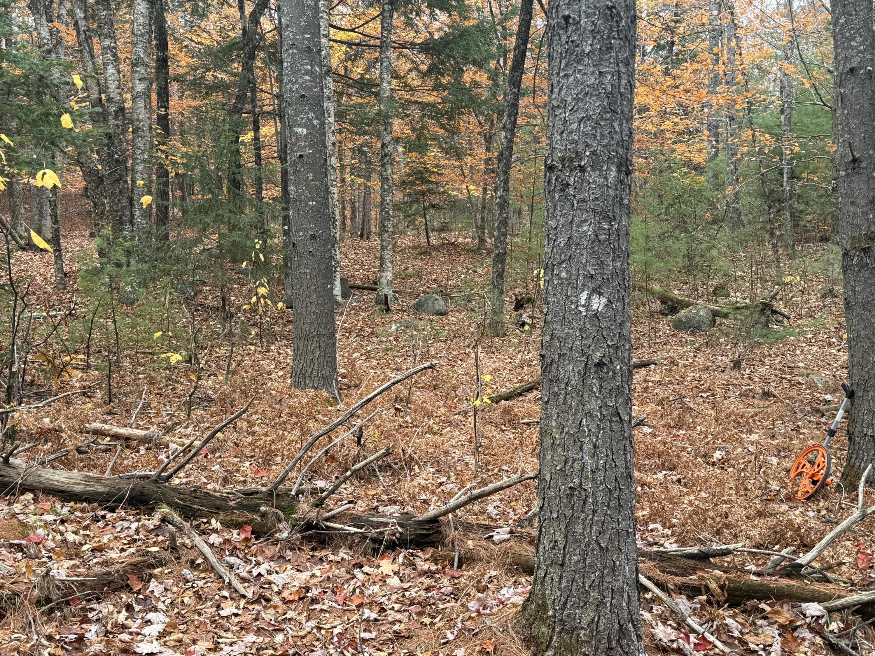 L55 Storer Hill Road Carthage ME 04224