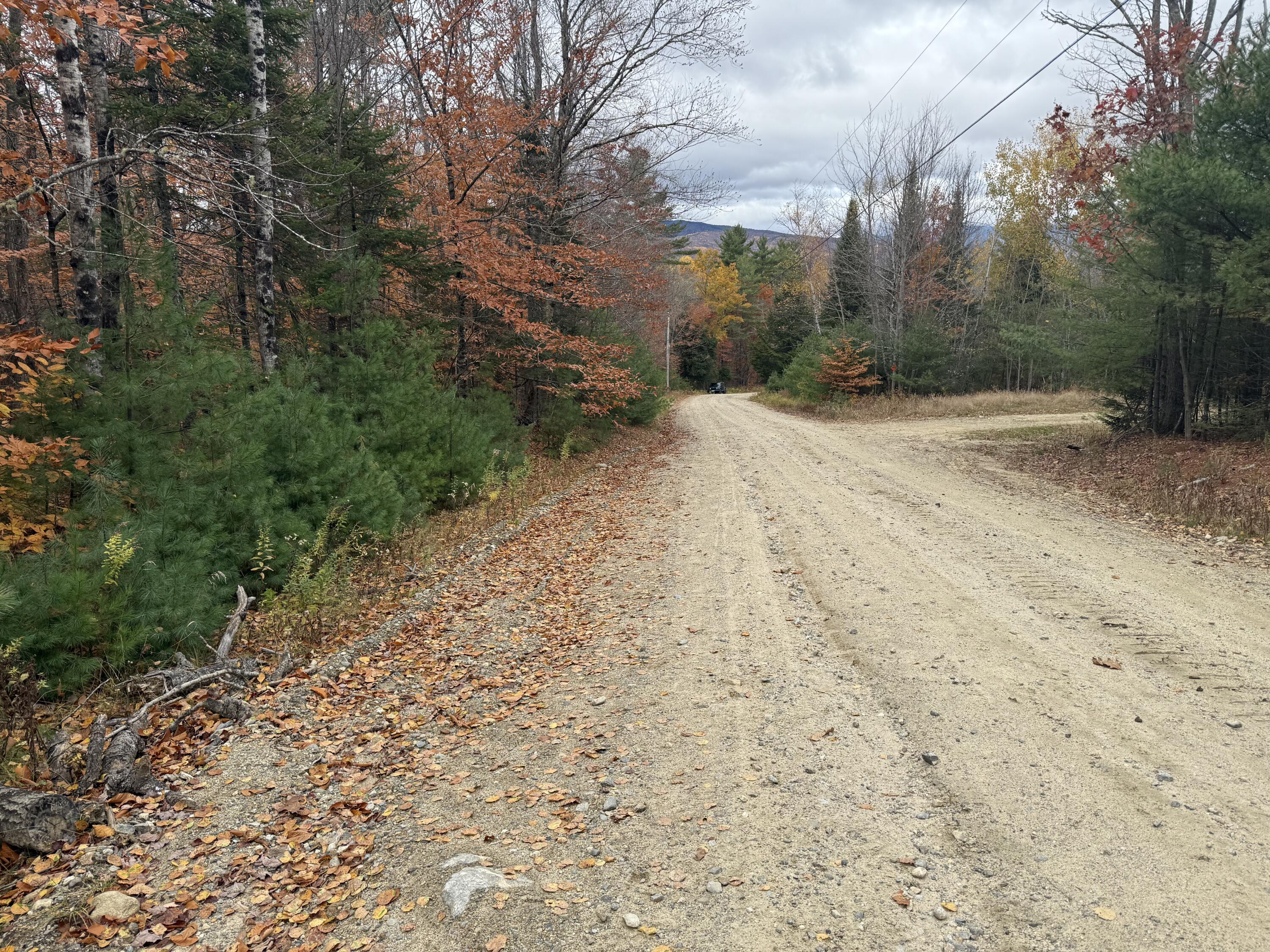 L55 Storer Hill Road Carthage ME 04224